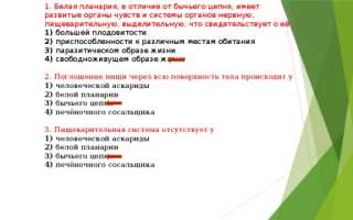 Для какого паразитического червя человек не является единственным хозяином