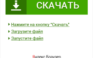 Класс ленточные черви презентация по биологии 7 класс