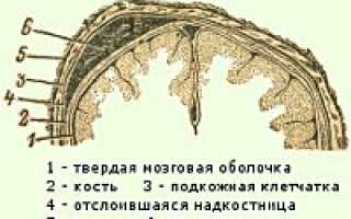 Кефалогематома у новорожденных: все поправимо!