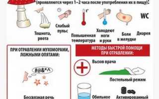 Рядовки как не отравиться