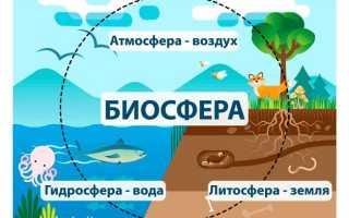 Химические загрязнения и отравления окружающей среды