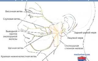 Как избавиться от синяка за три дня