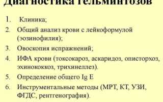 Как правильно подготовиться к анализу крови на паразитов