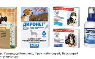Препараты от паразитов для грызунов