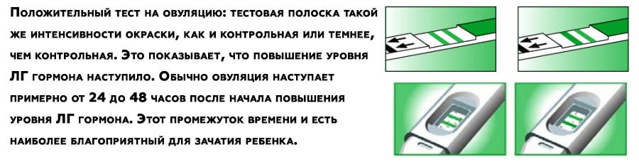 Вот так выглядит положительный тест на овуляцию