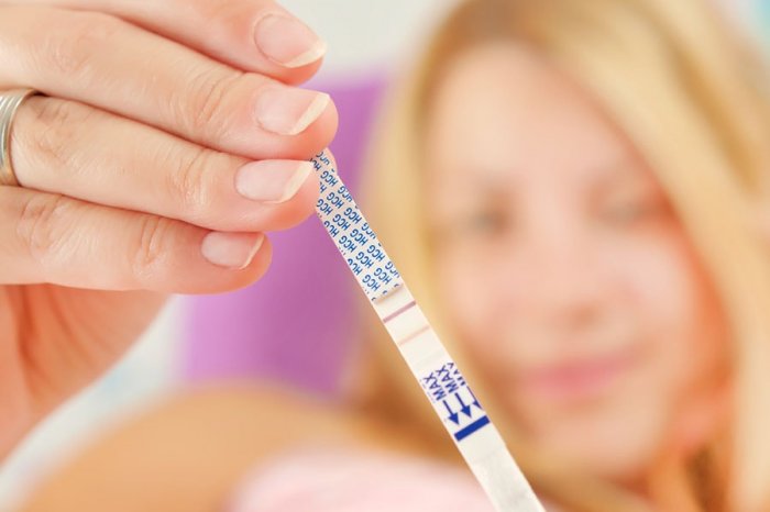 Тест-полоска на овуляцию