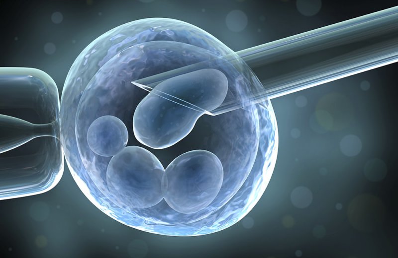 Экстракорпоральное оплодотворение (ЭКО)