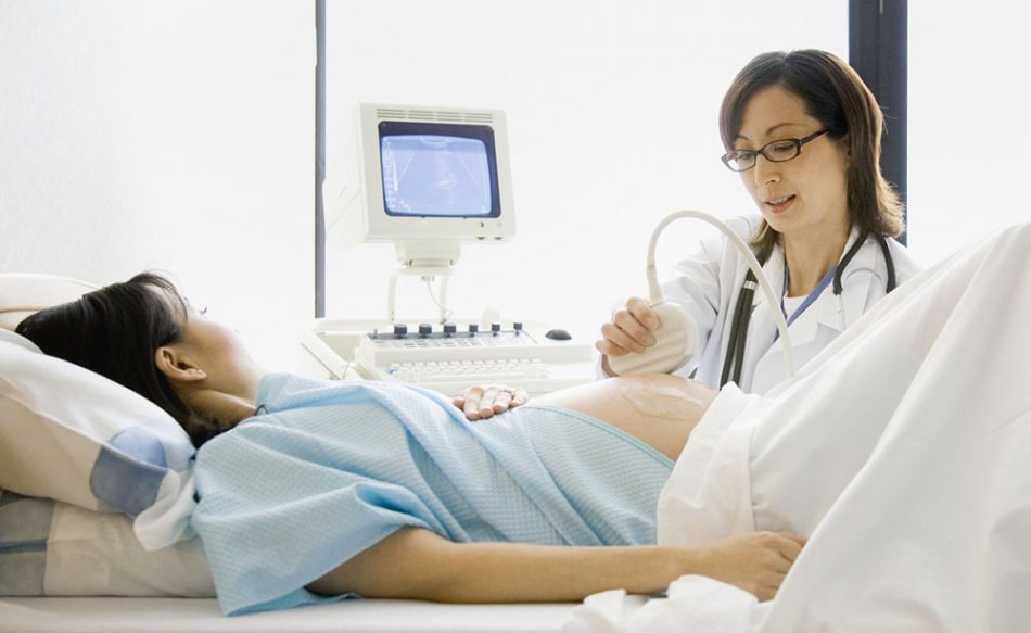 Плановое УЗИ