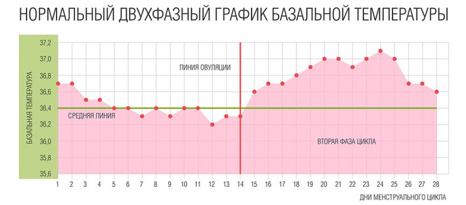 График базальной температуры