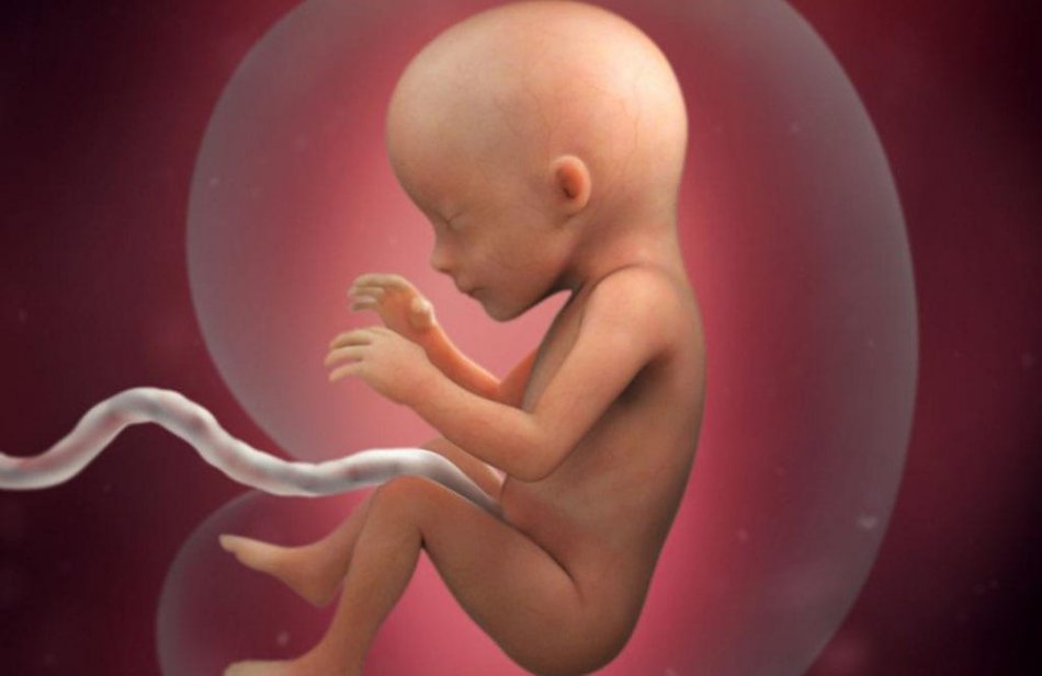 Ребенок в утробе
