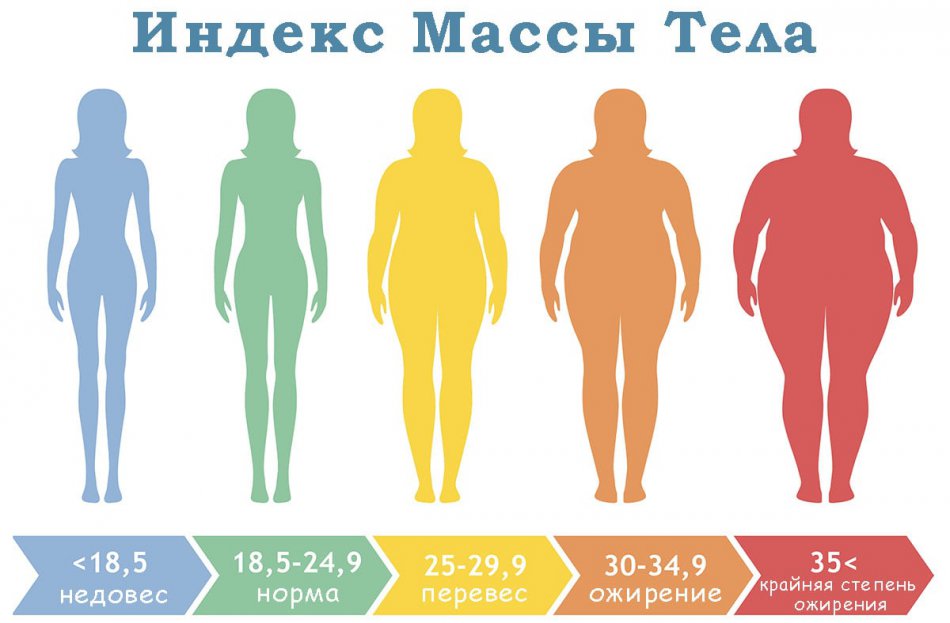 Индекс Массы Тела