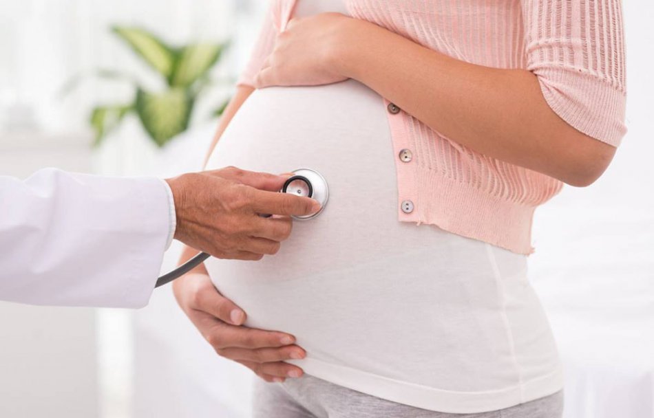 Прослушивание сердцебиения