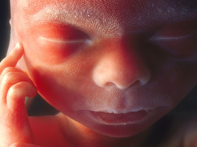 19 неделя беременности