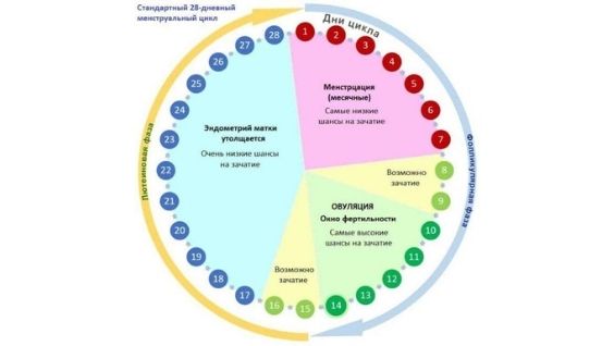 как быстрее забеременеть