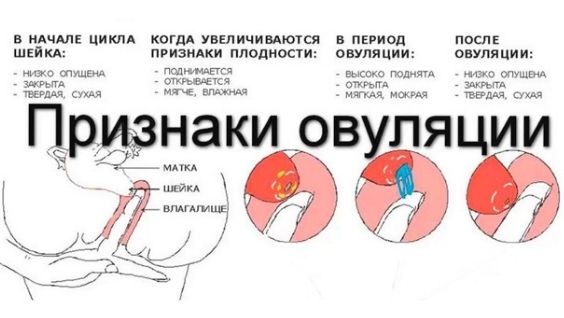 благоприятные дни для зачатия ребенка