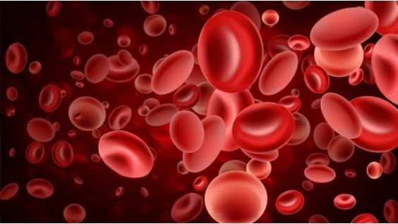 замершая беременность симптомы на ранних сроках