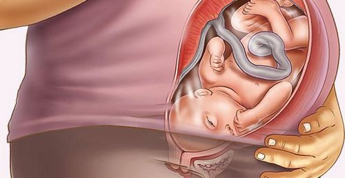 Подготовка к родам