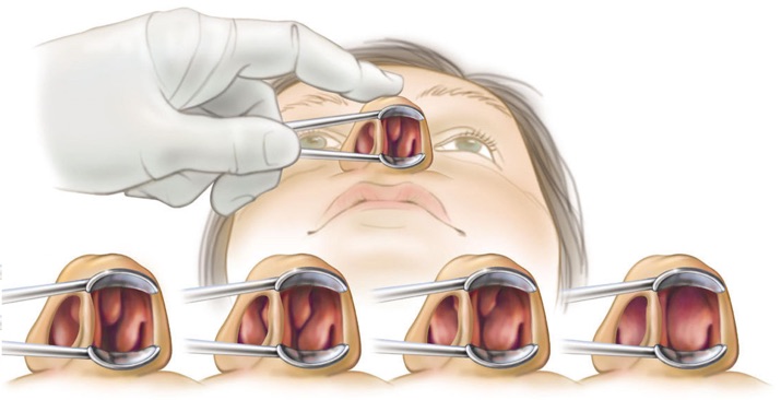 Как выглядят