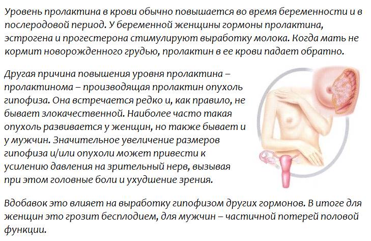 Причины повышения пролактина у беременных