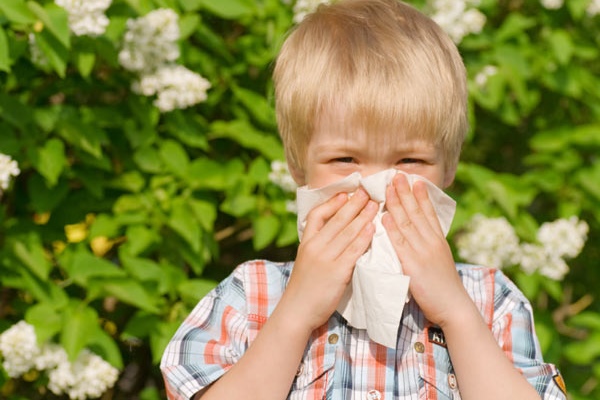 Сезонный ринит