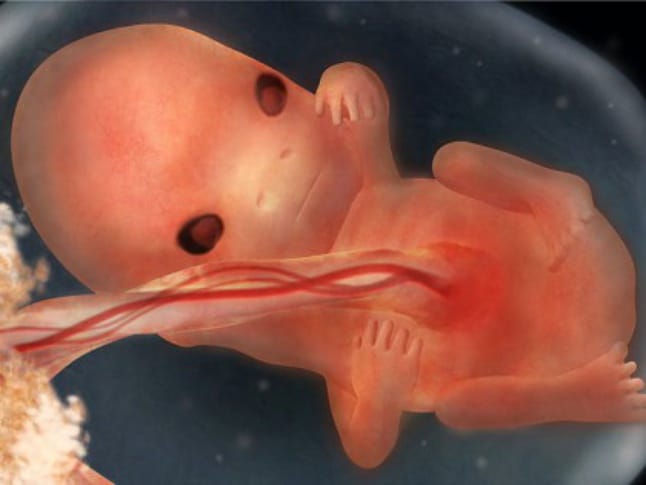 Малыш на 9 неделе