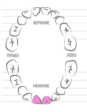 прорезывание молочных зубов: нижние центральные резцы