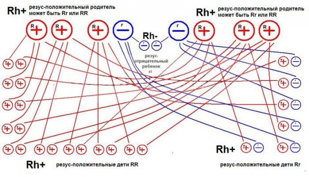 Варианты