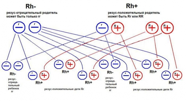 Варианты