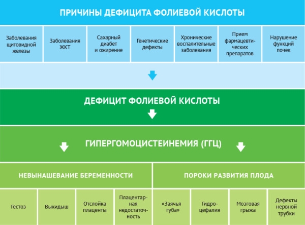 дефицита фолиевой кислоты у беременных
