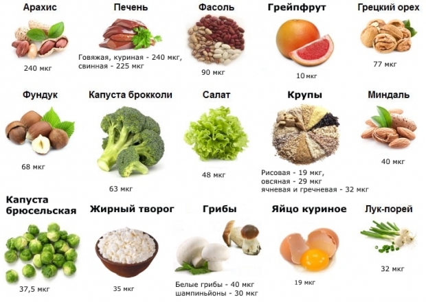 Фолиевая кислота в продуктах (таблица)