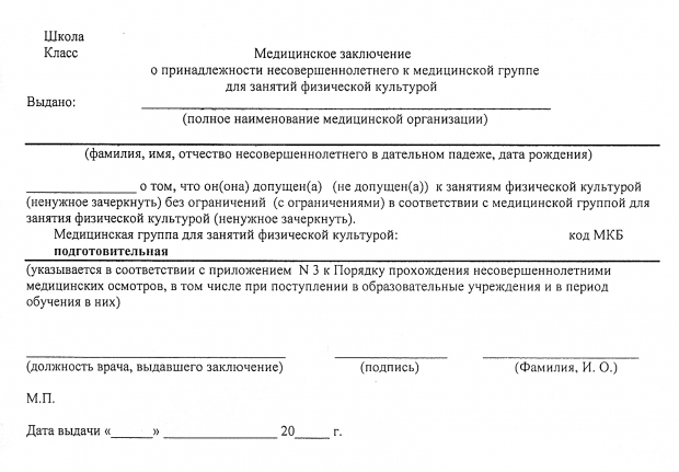 Подготовительная (II) медицинская группа