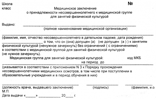 Специальная медицинская группа