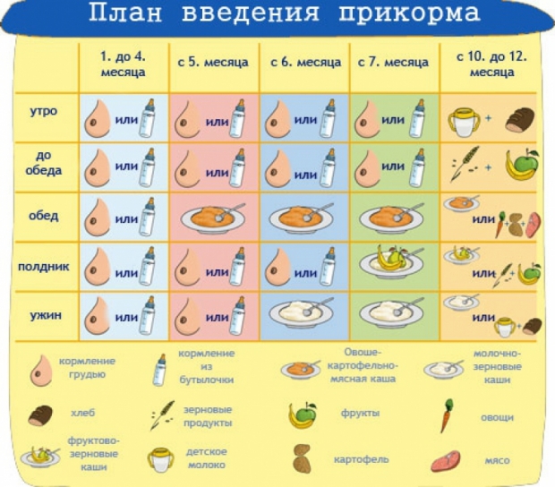 график прикорма детей до года