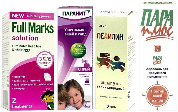 Педикулез у ребенка