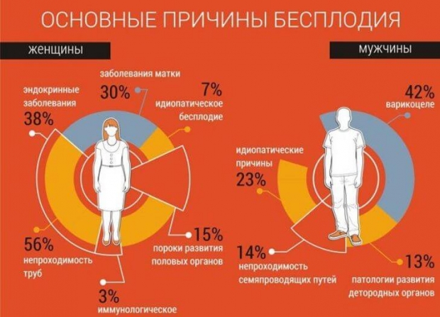 степени бесплодия
