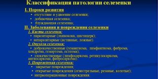 Болит под левым ребром с отдачей в спину